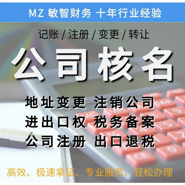 税务申报代理